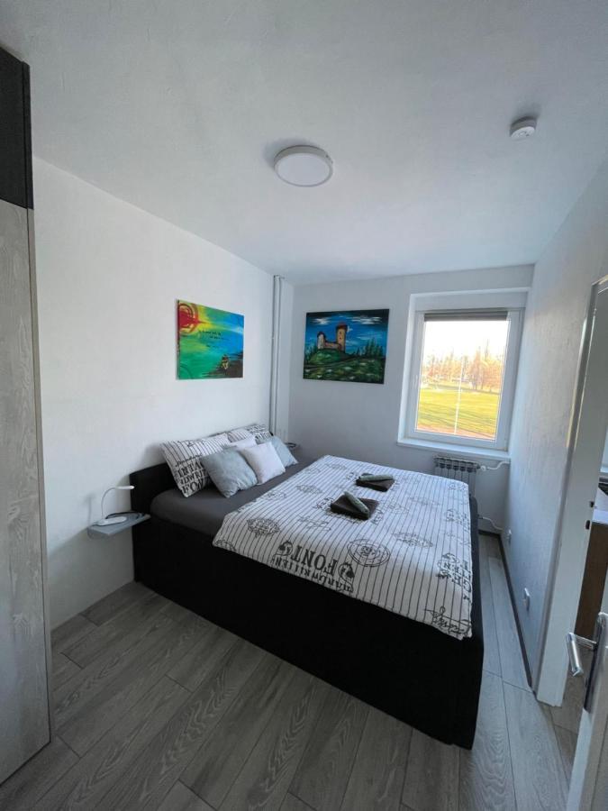 Treba Malo Odmorit - Self Check-In Option, Family Room, Ps4 Pro, Free Parking Karlovac Exterior foto